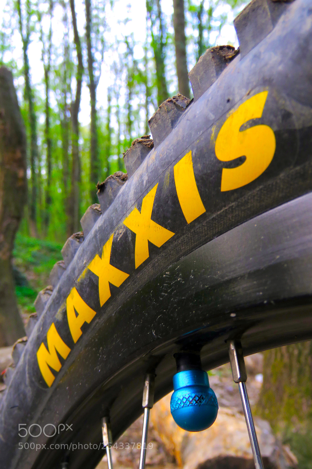 Canon PowerShot SX60 HS sample photo. Maxxis photography