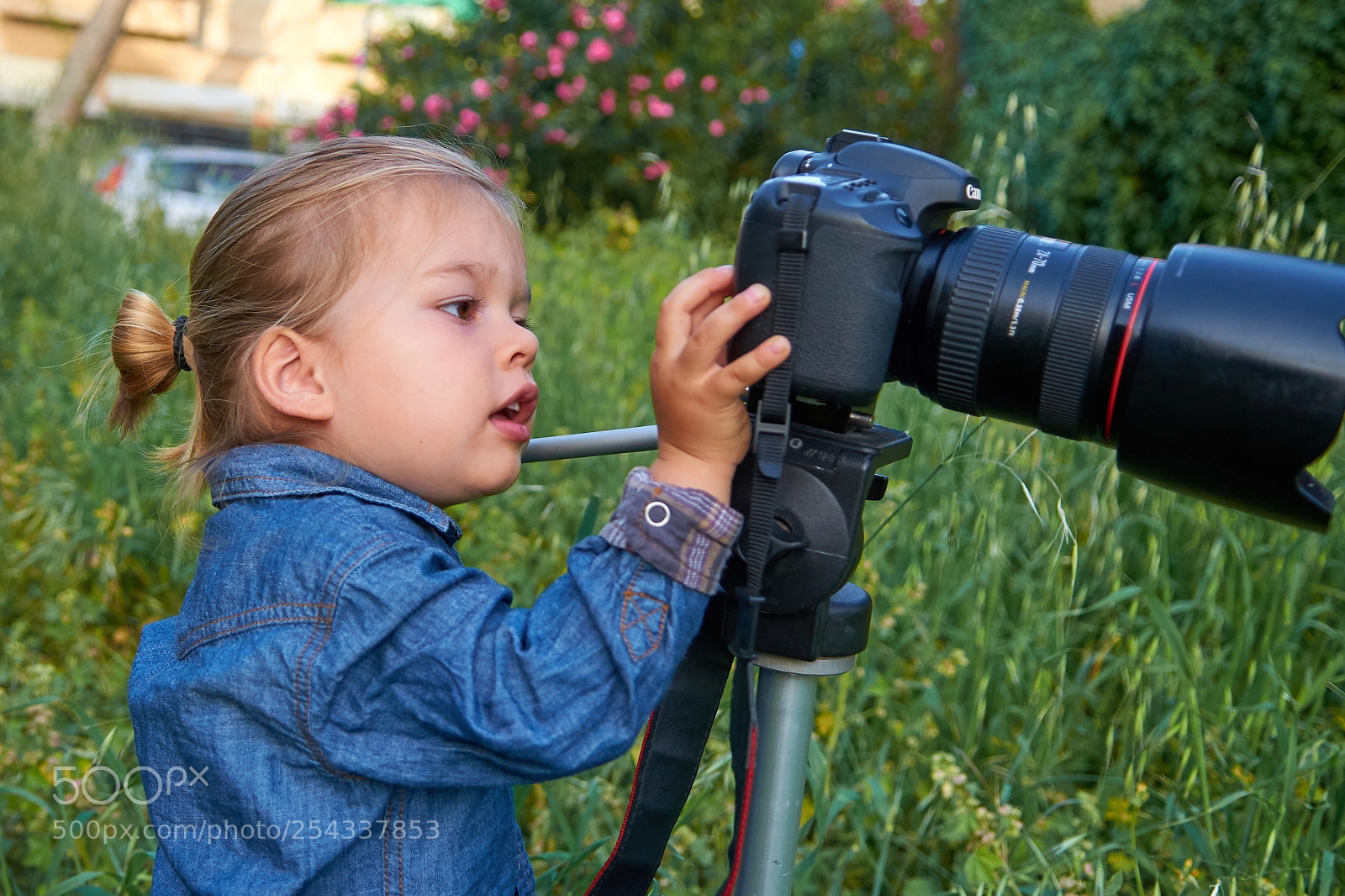 Nikon D7000 sample photo. Interest photography