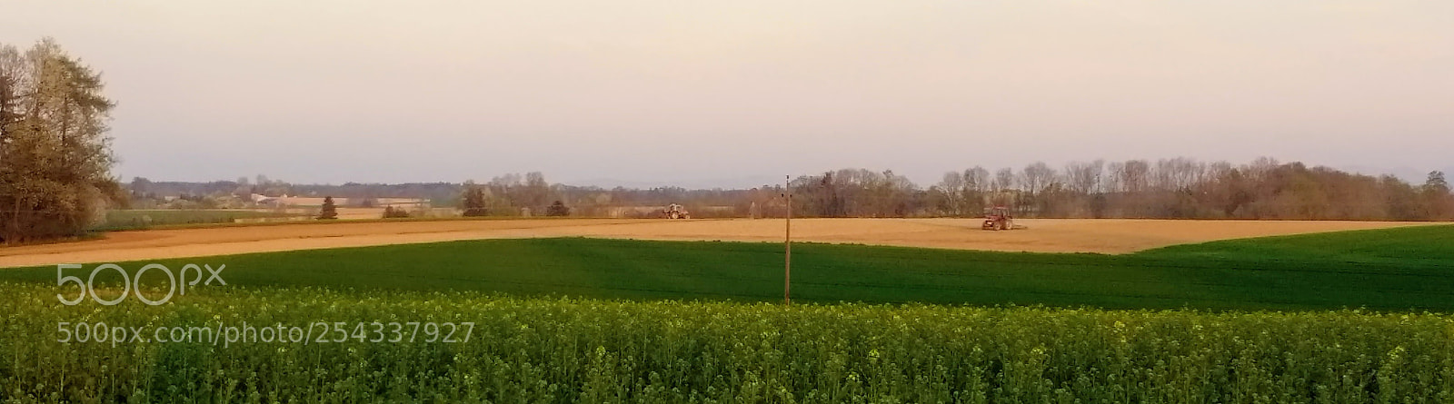 Motorola Moto G (4) sample photo. Untitled photography