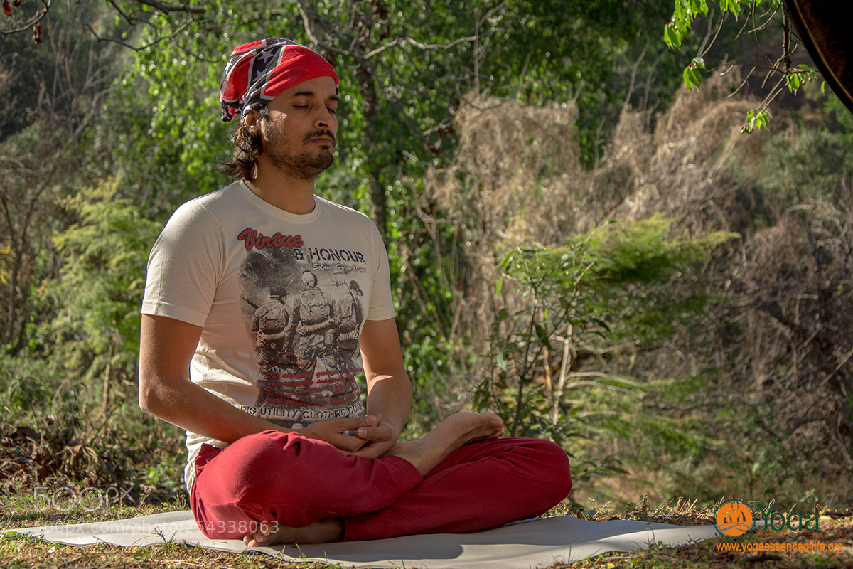 Nikon D5200 sample photo. 500 hours yoga teacher photography