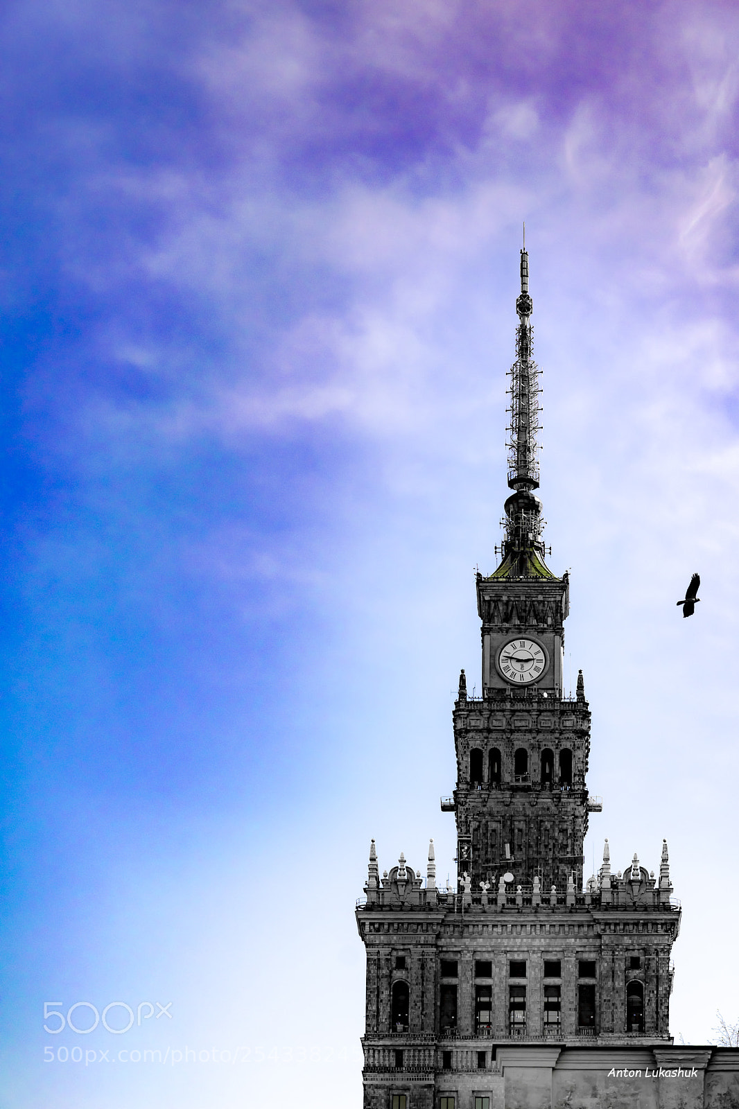 Nikon D5300 sample photo. Pałac kultury photography