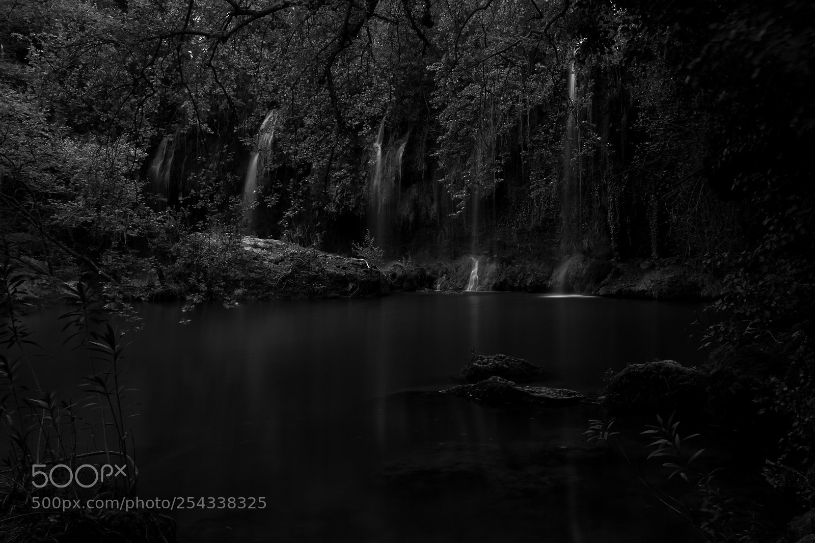 Canon EOS 7D sample photo. Bw photography