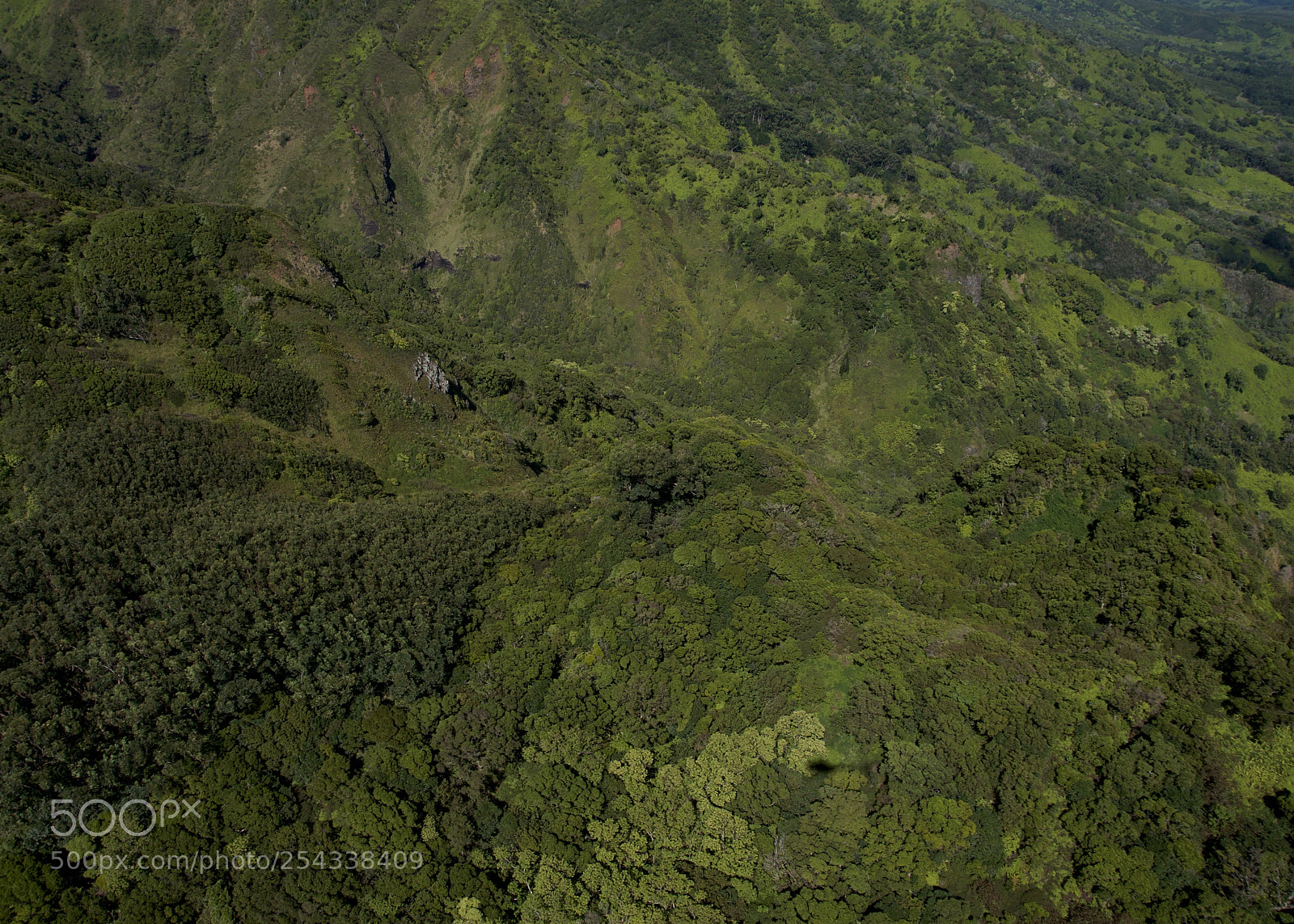 Nikon D300 sample photo. "the greenhouse," kauai, hawaii. photography