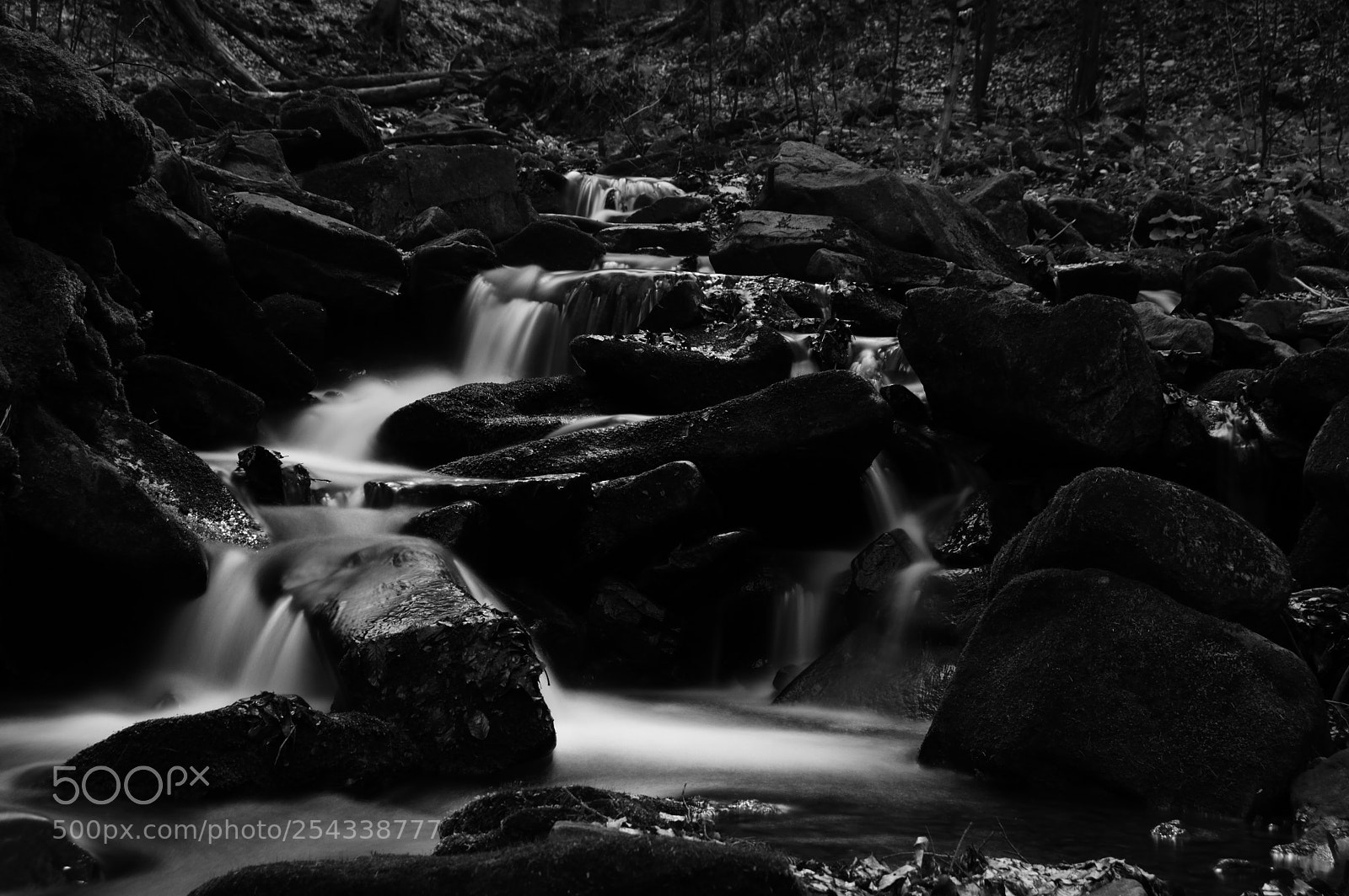 Nikon D3200 sample photo. * b&w * photography