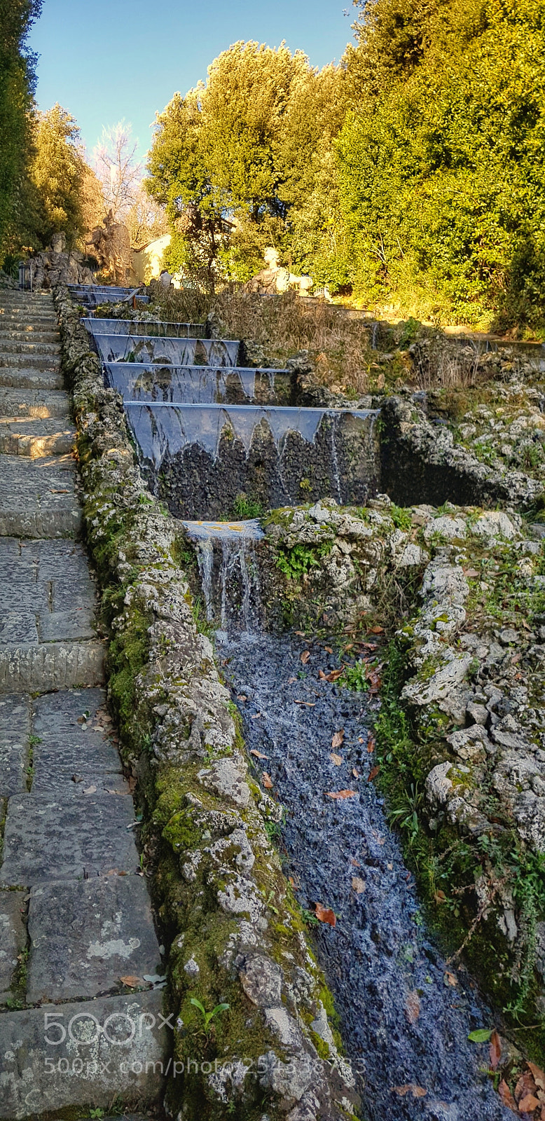 Samsung Galaxy S8 sample photo. Untitled photography