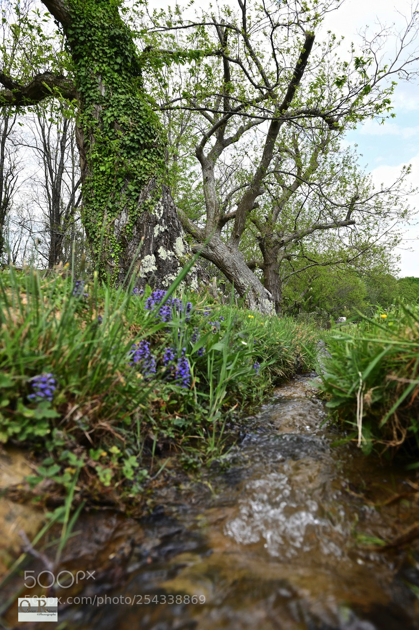 Nikon D850 sample photo. Pays basque photography