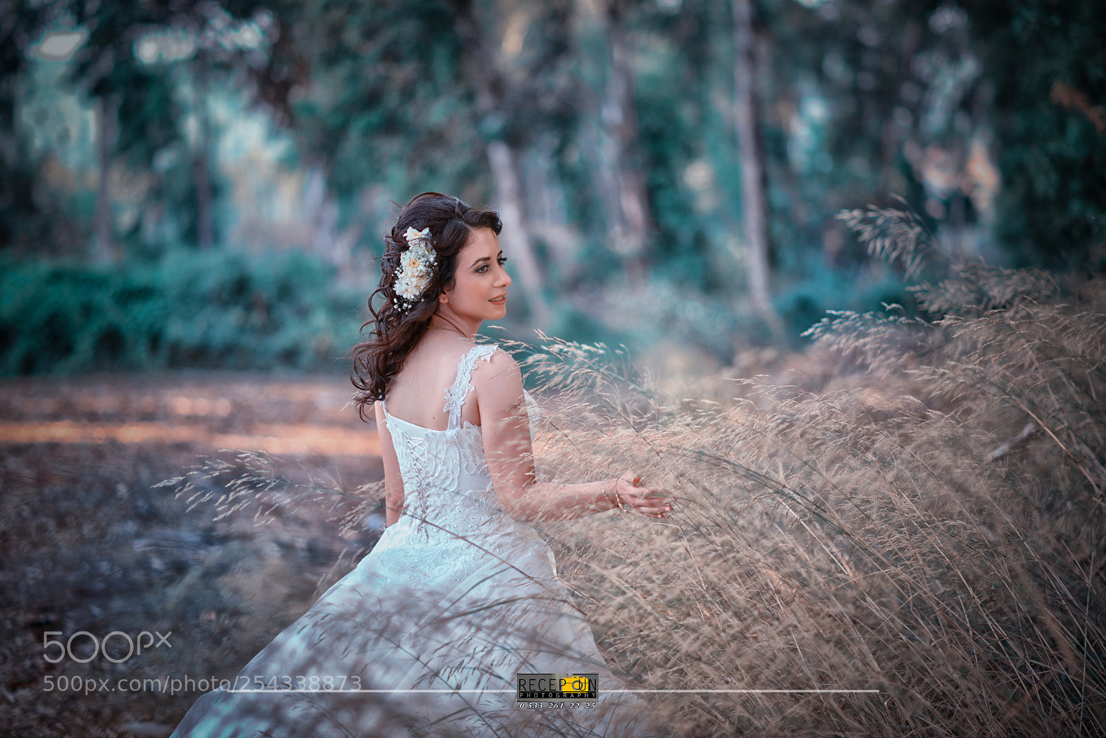 Nikon D800 sample photo. 1.jpg photography