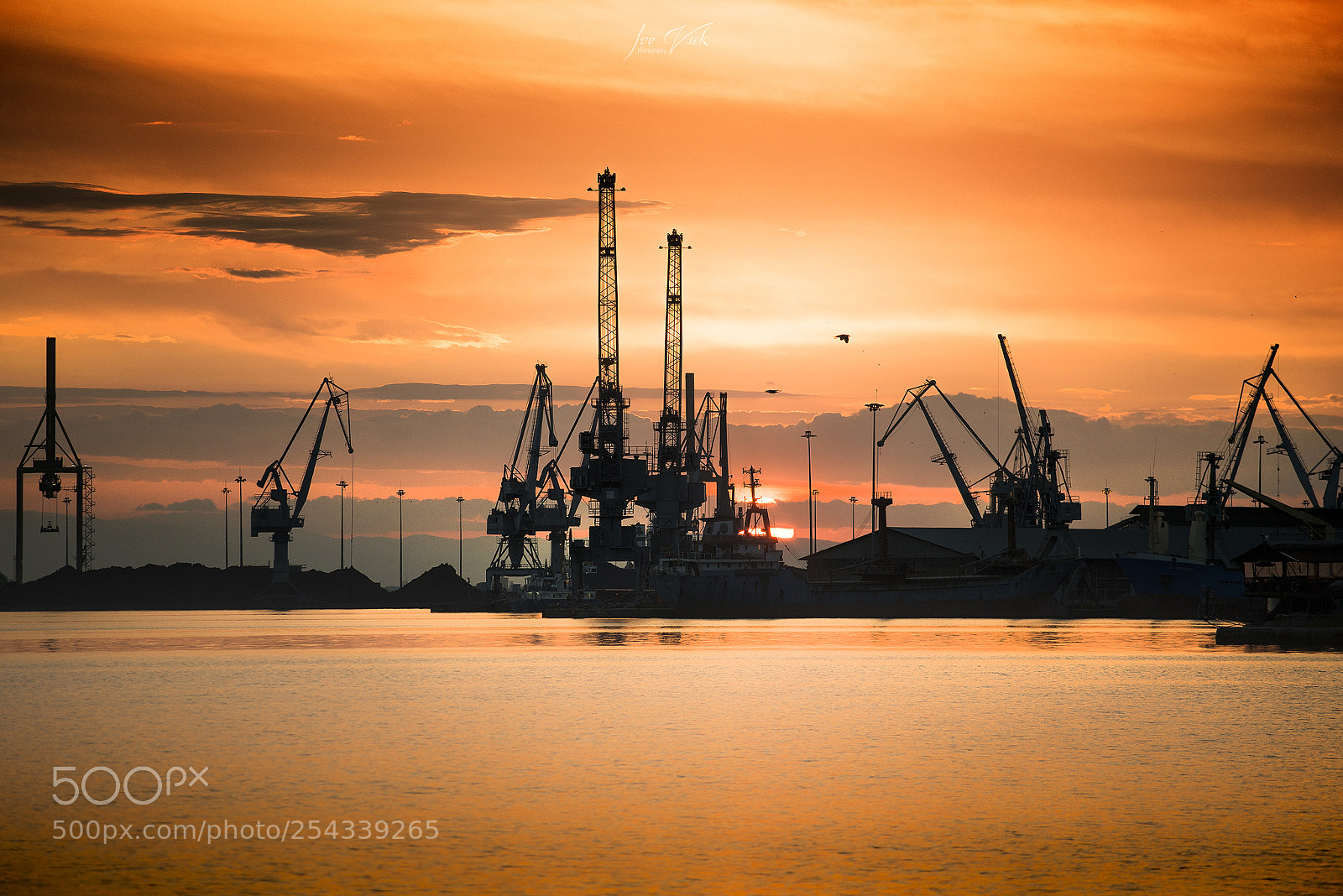 Nikon D600 sample photo. Port sunset s photography