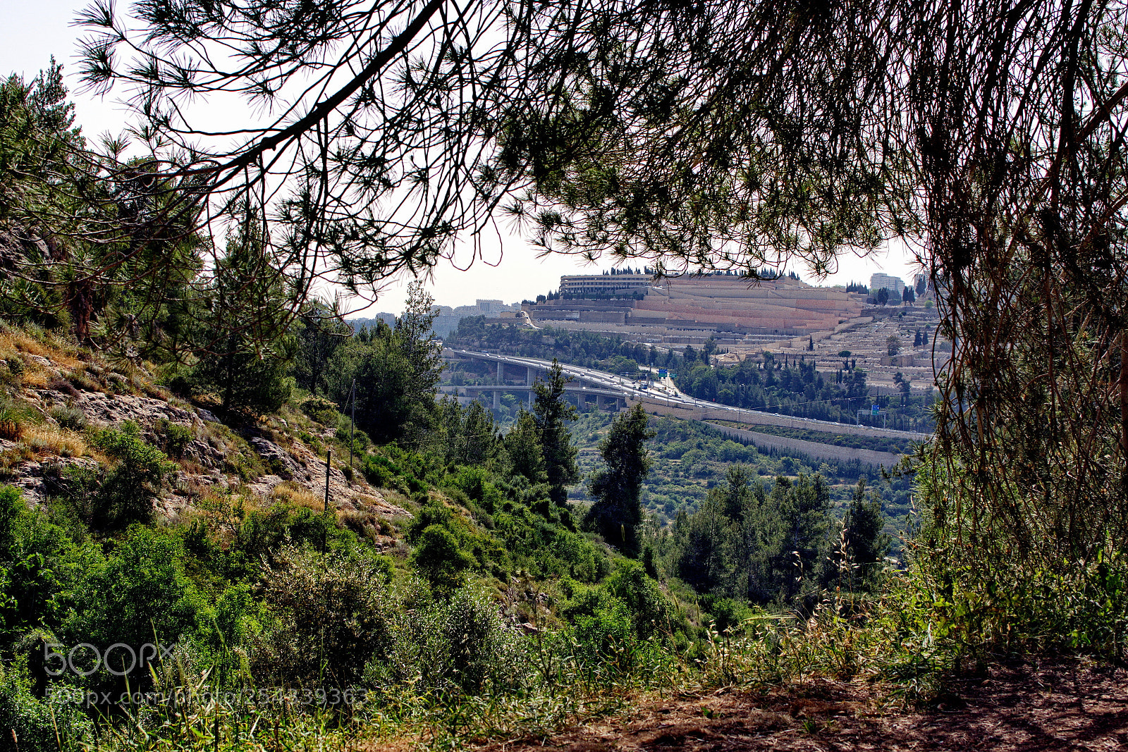 Nikon D7200 sample photo. Resting place photography
