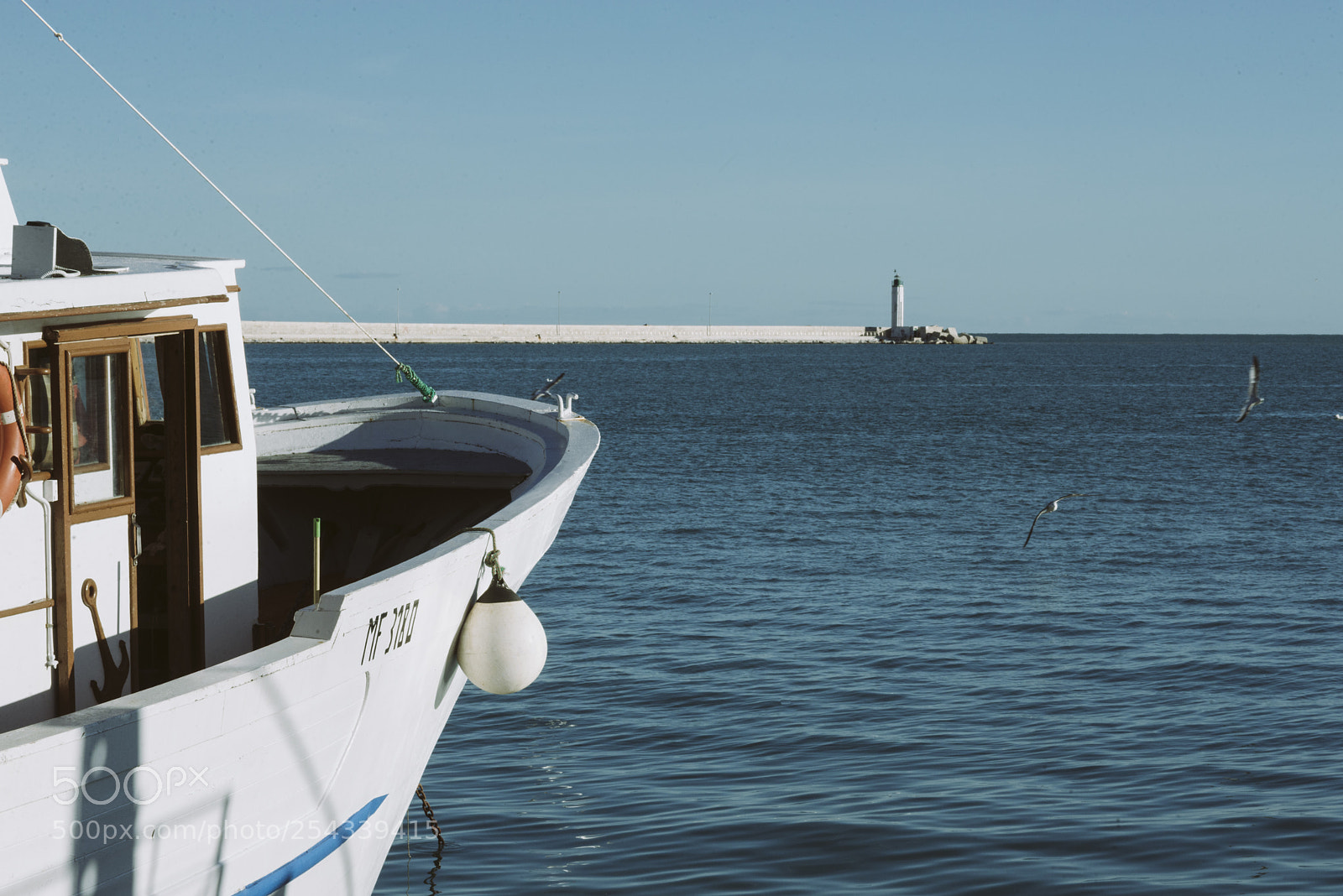 Nikon D610 sample photo. Mf3180 photography