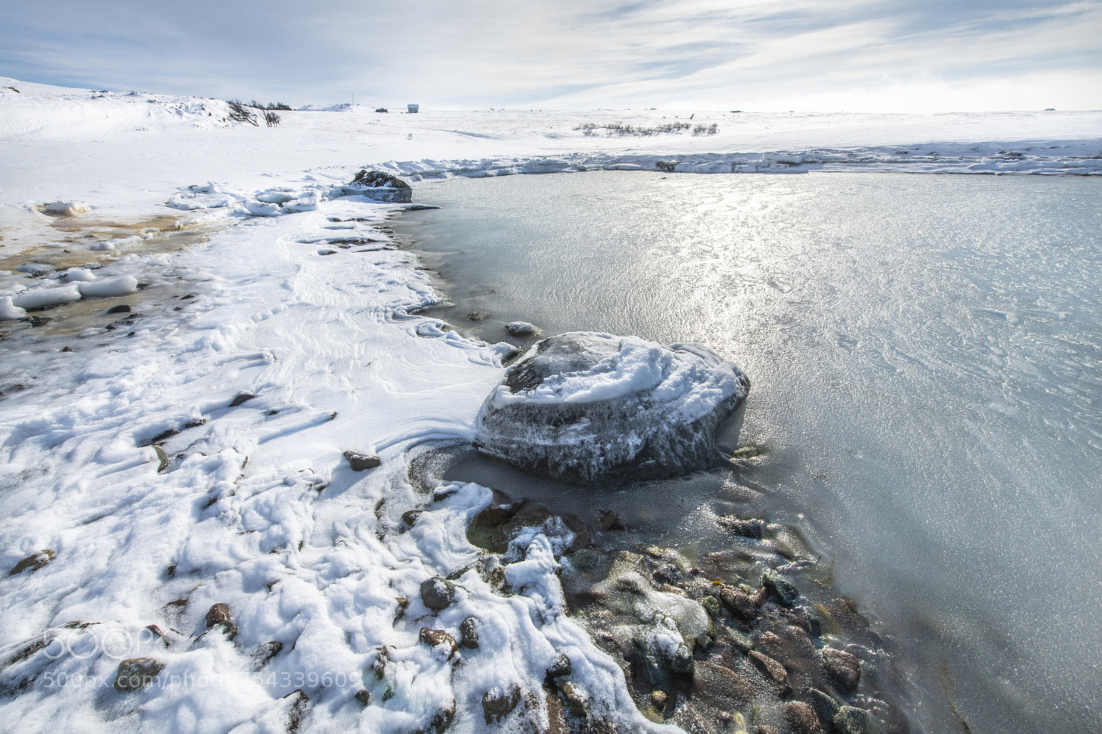 Nikon D850 sample photo. Cold day photography