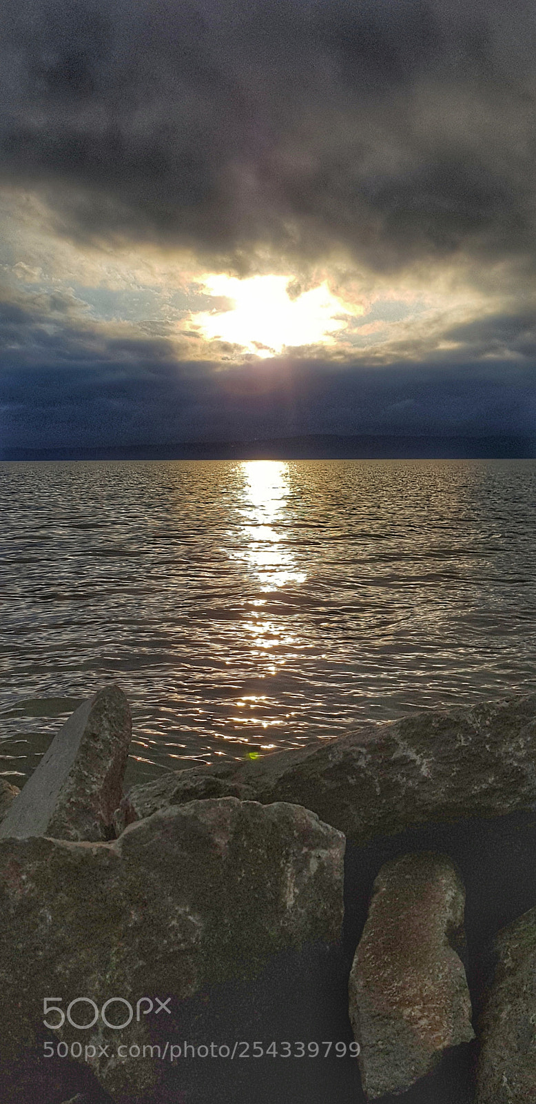 Samsung Galaxy S8 sample photo. Untitled photography