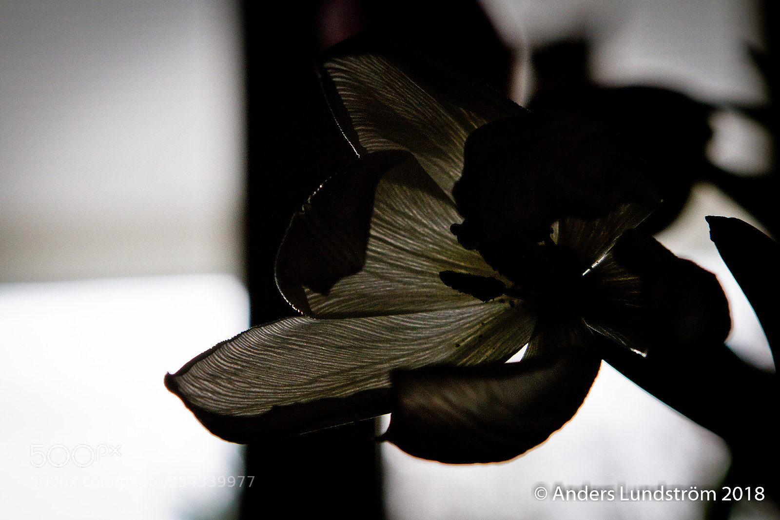 Canon EOS 7D sample photo. Färg photography