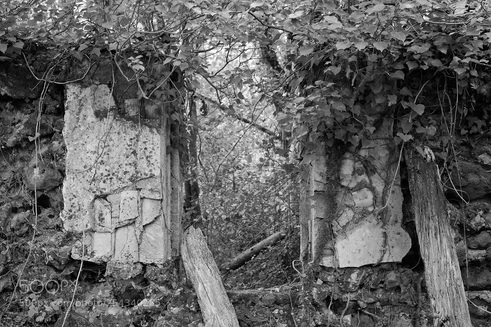Canon EOS 1100D (EOS Rebel T3 / EOS Kiss X50) sample photo. Ruin in b&w 2 photography