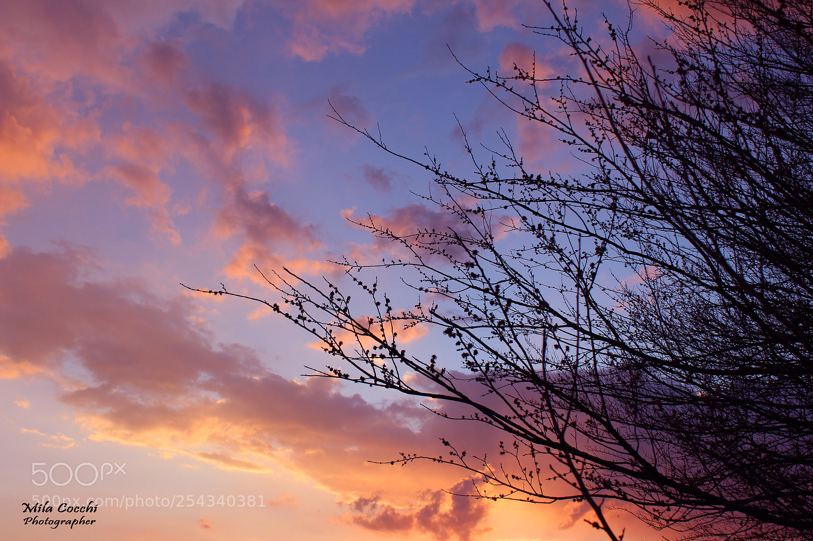 Canon EOS 1200D (EOS Rebel T5 / EOS Kiss X70 / EOS Hi) sample photo. Romantic sunset ? photography