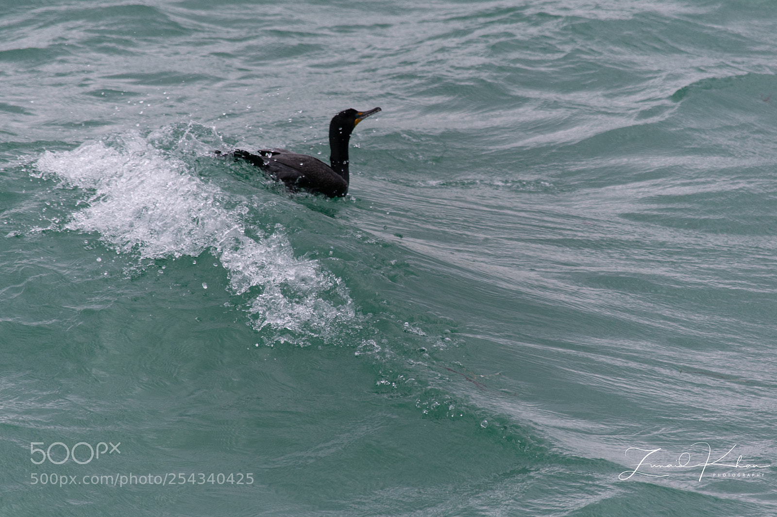 Nikon D3400 sample photo. Riding the wave photography