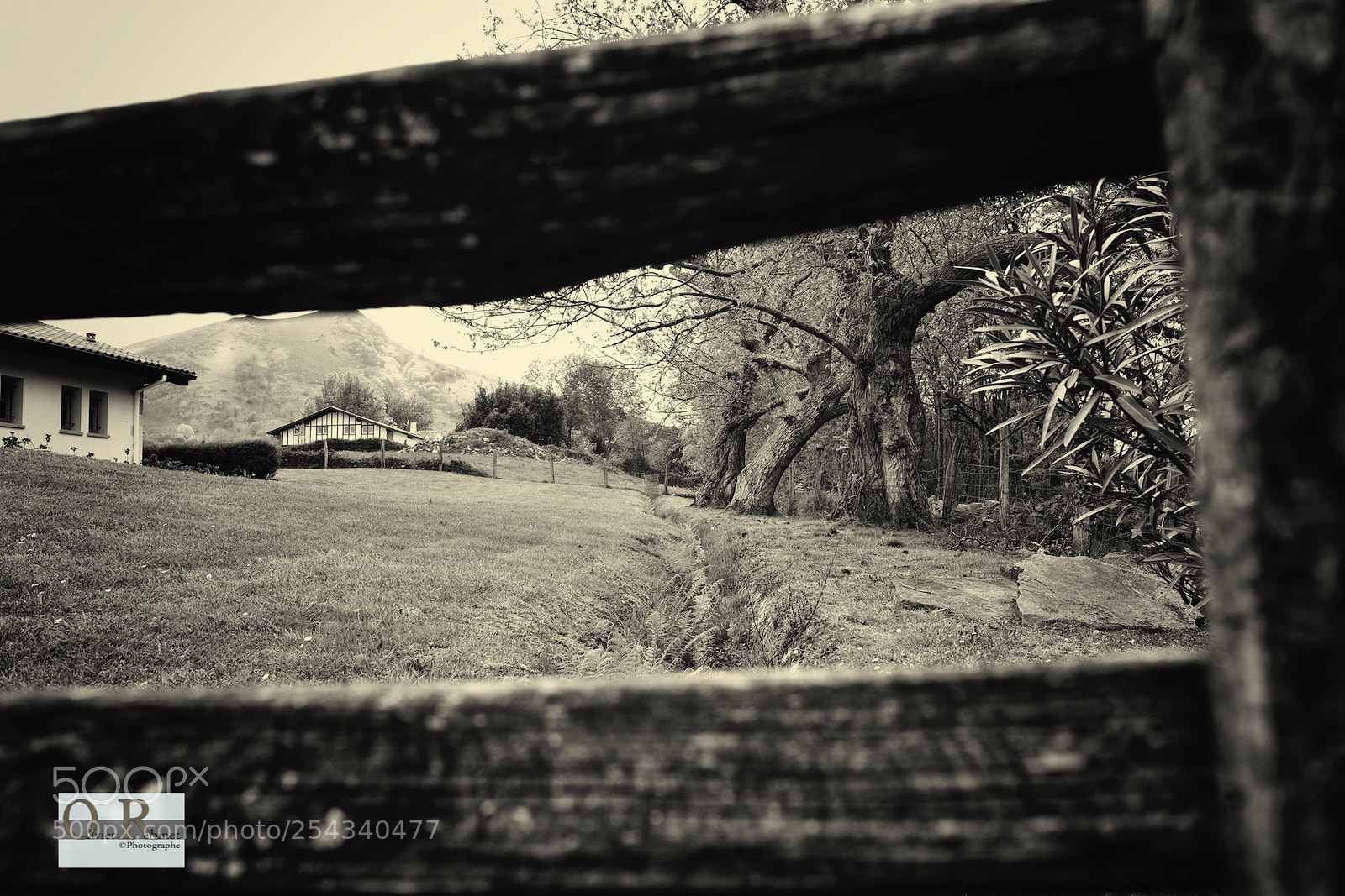 Nikon D850 sample photo. Pays basque photography