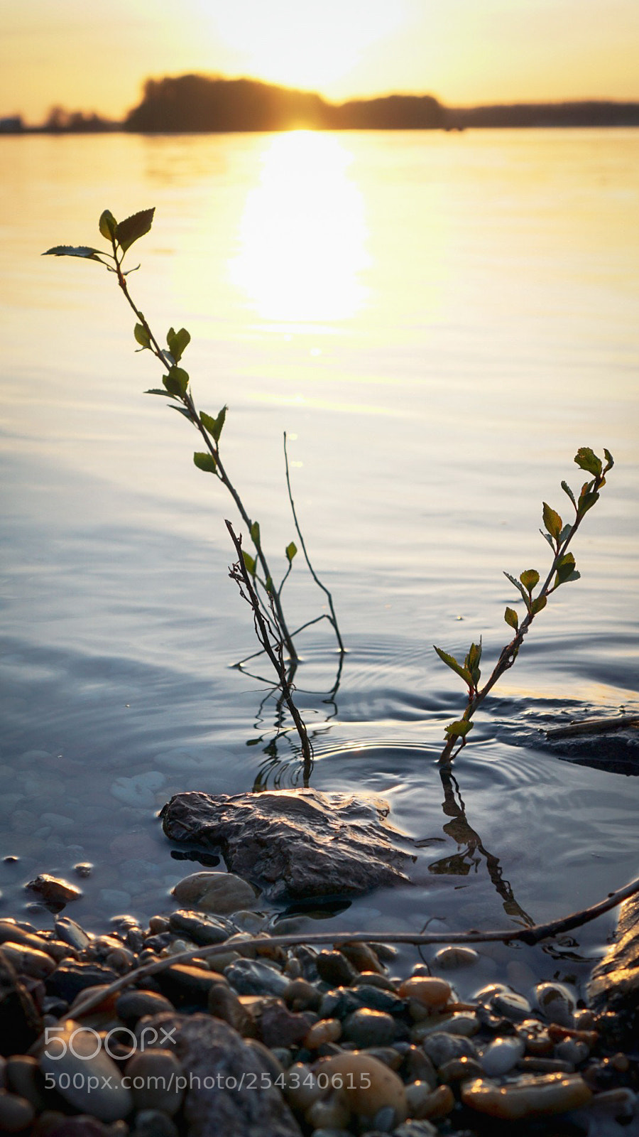 Sony a6000 sample photo. Victory photography