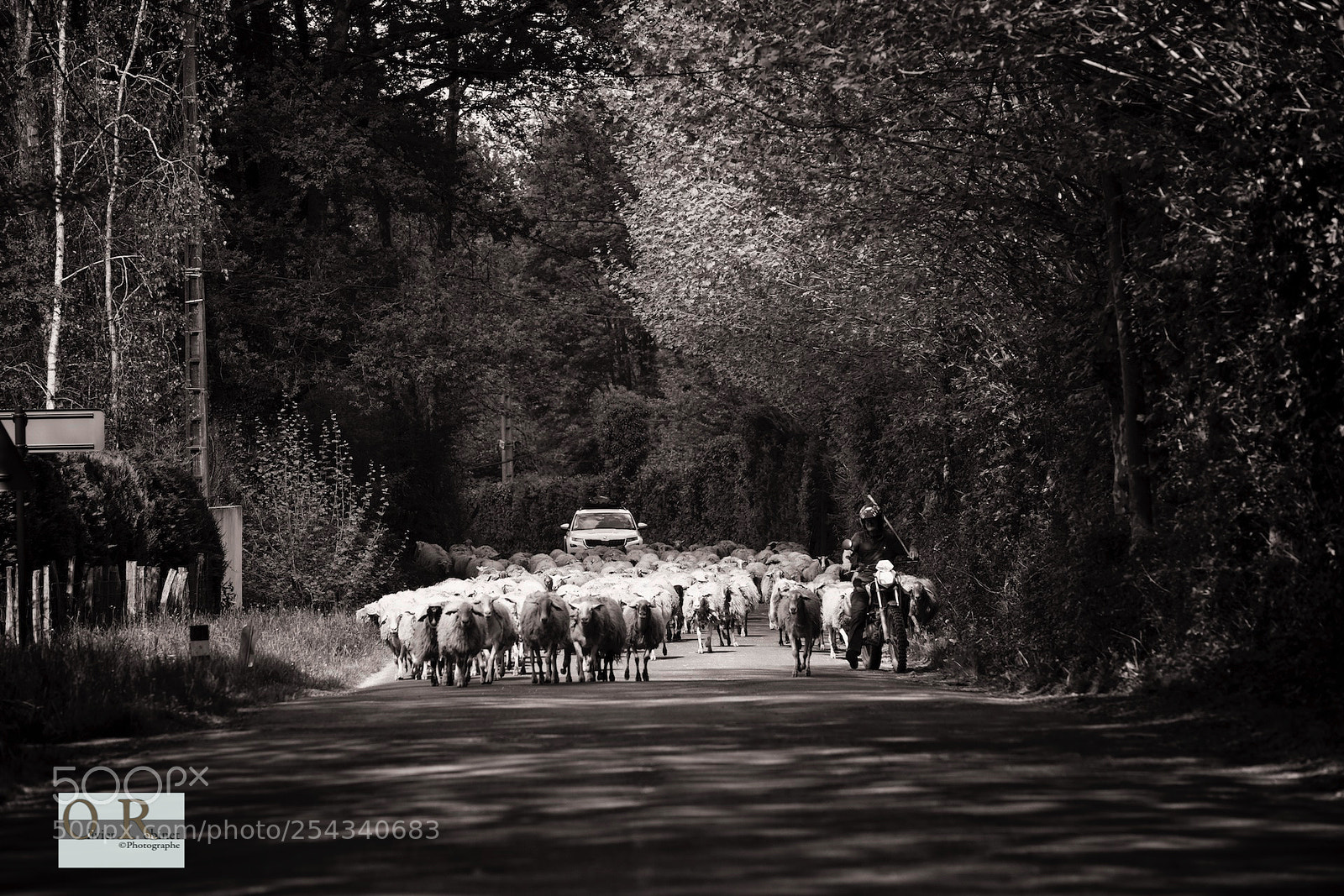 Nikon D850 sample photo. Pays basque photography
