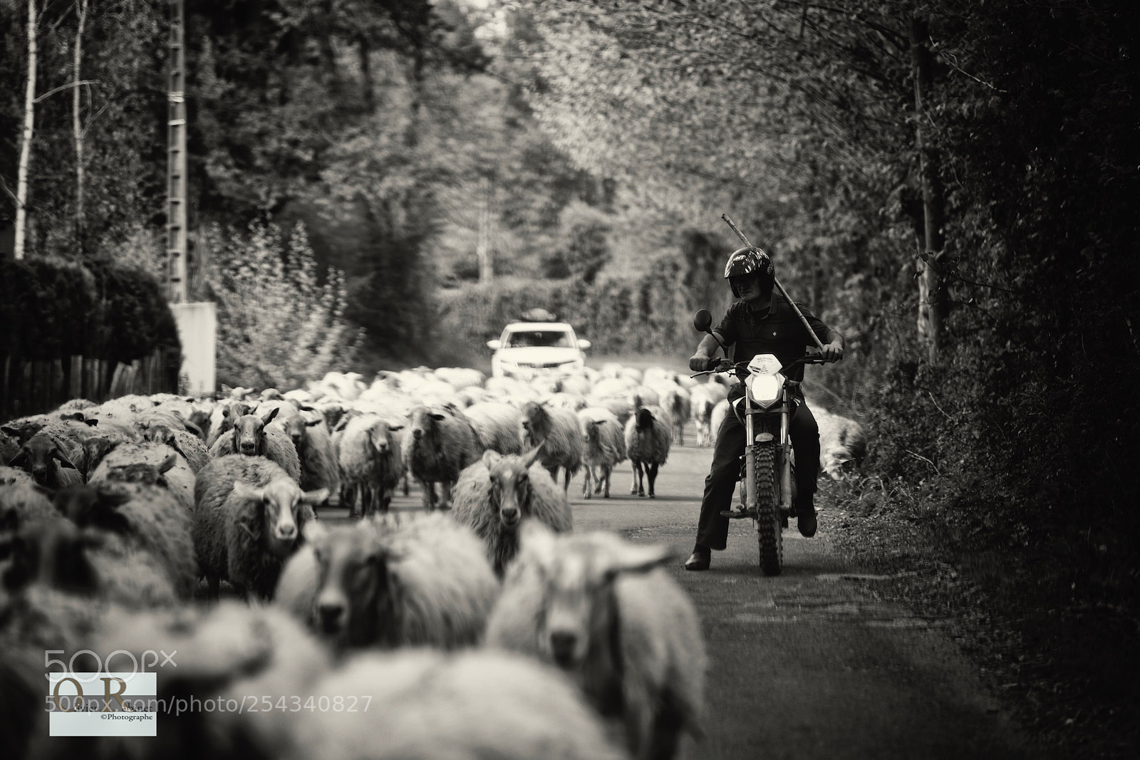 Nikon D850 sample photo. Pays basque photography