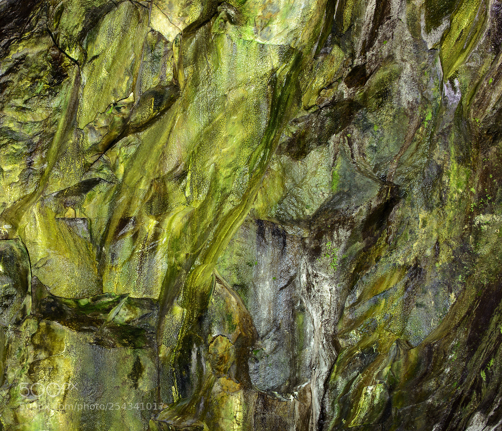 Nikon D800 sample photo. Azores photography