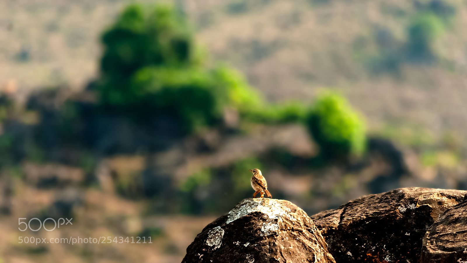 Nikon D3000 sample photo. Scenic rest photography
