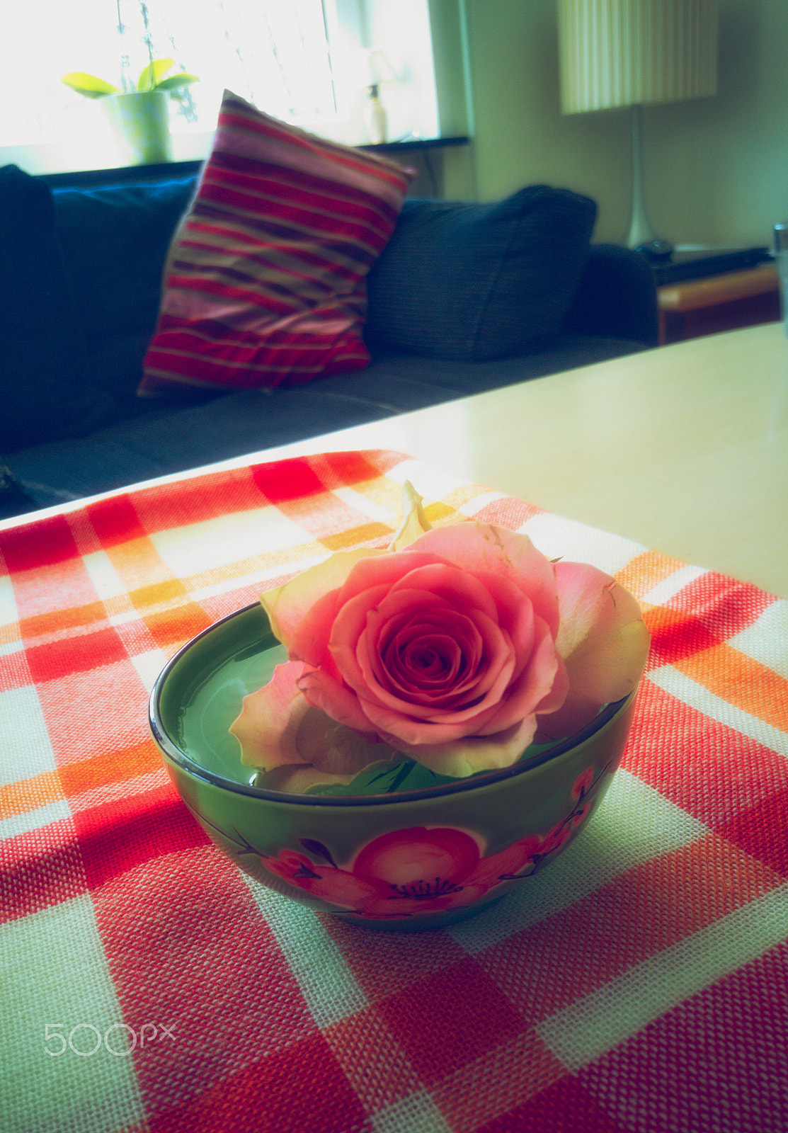 HTC ONE M9 sample photo. Jpg photography