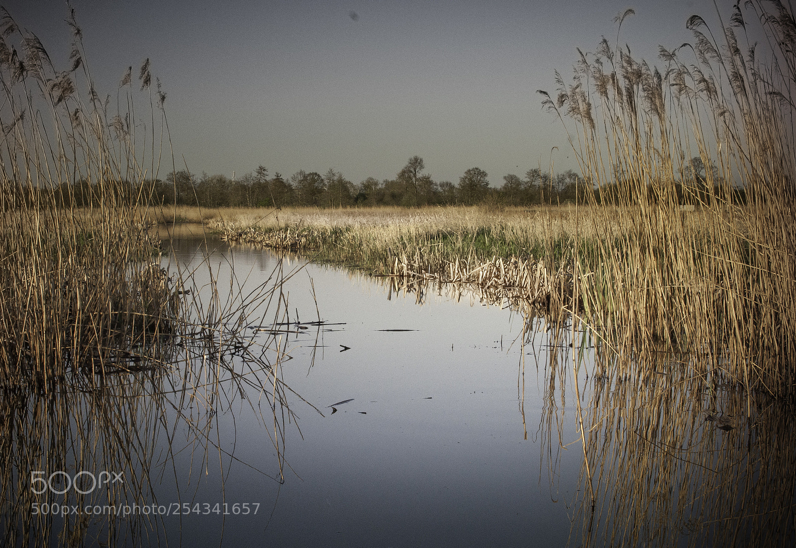 Nikon D5000 sample photo. Blue water landscape photography