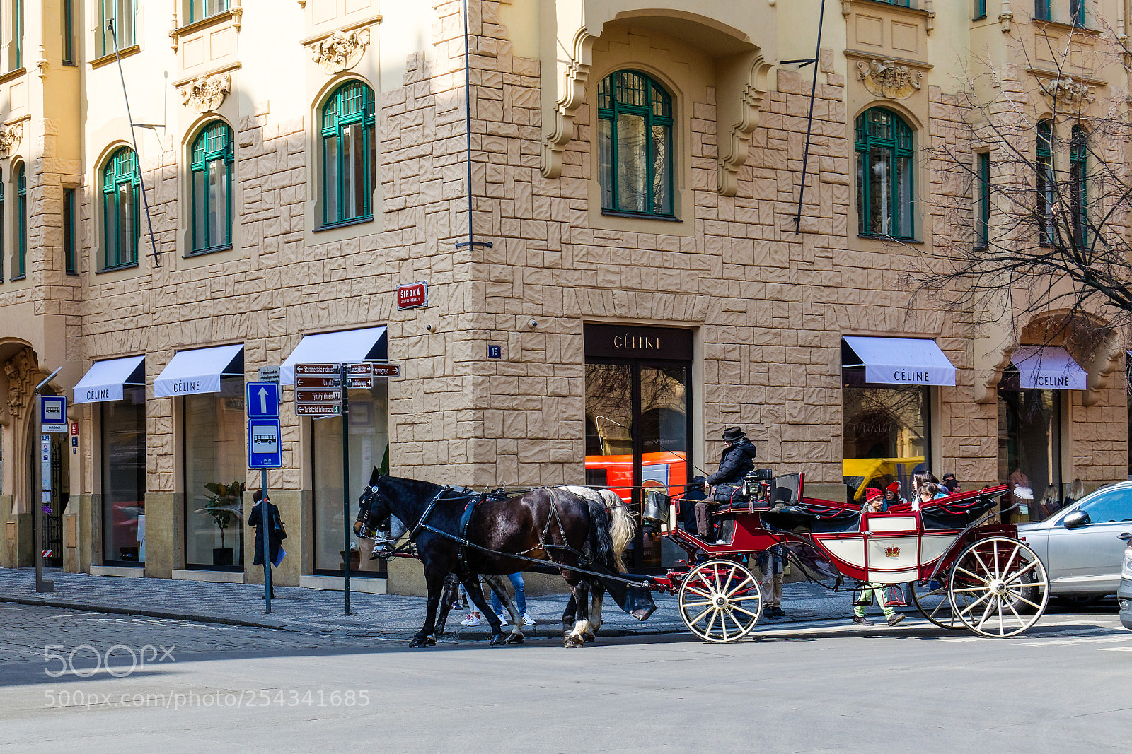 Nikon D3300 sample photo. Horse & carriage photography