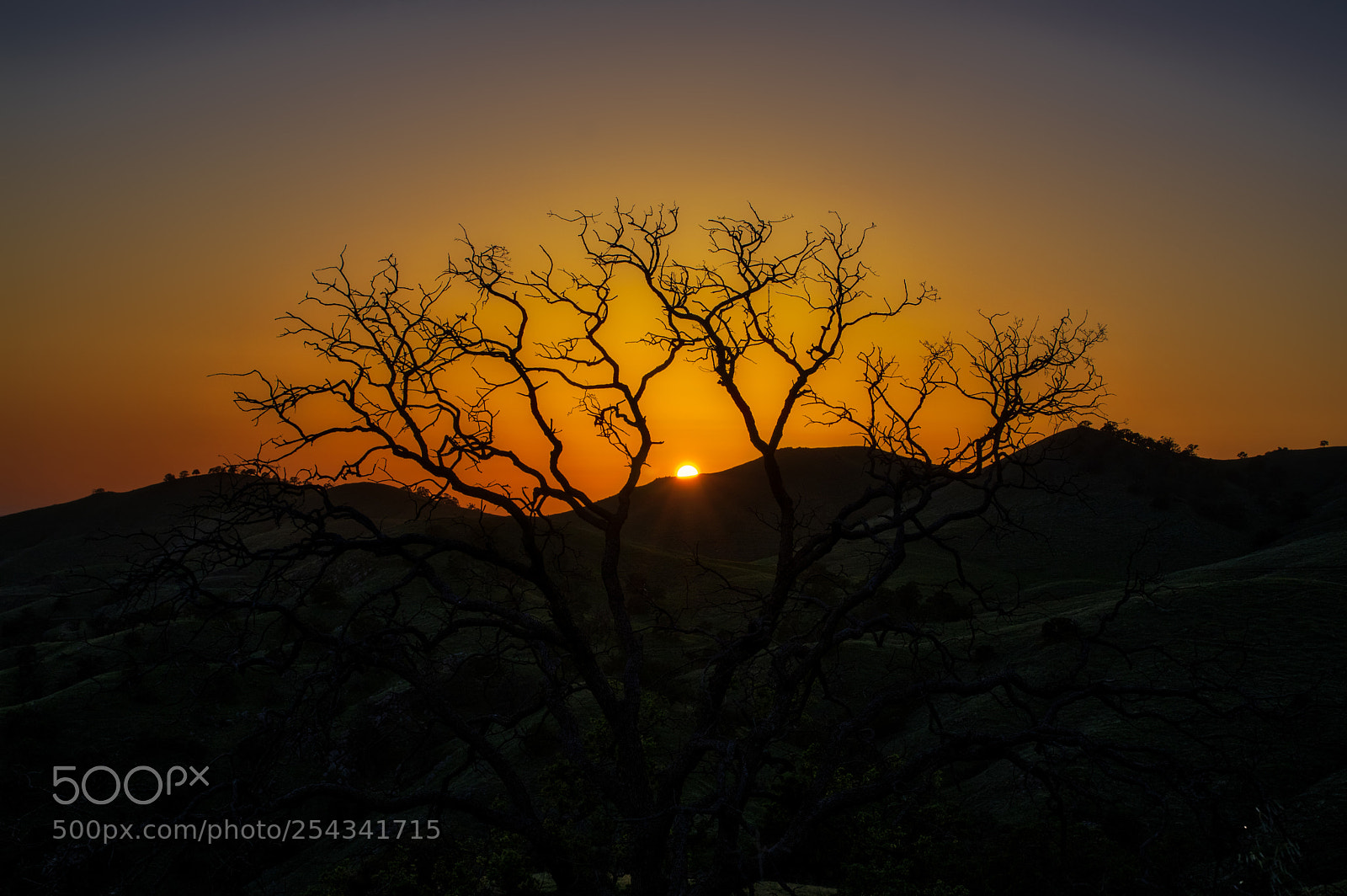 Pentax K-3 II sample photo. Millerton lake state park photography