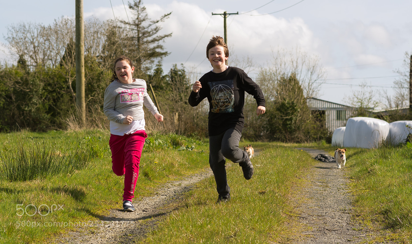 Nikon D500 sample photo. Run for your lives photography