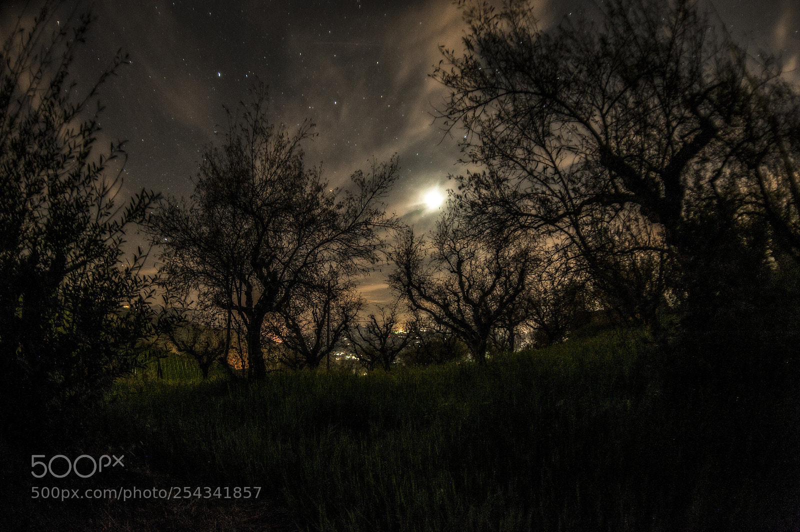 Nikon D3 sample photo. Light of the moon photography