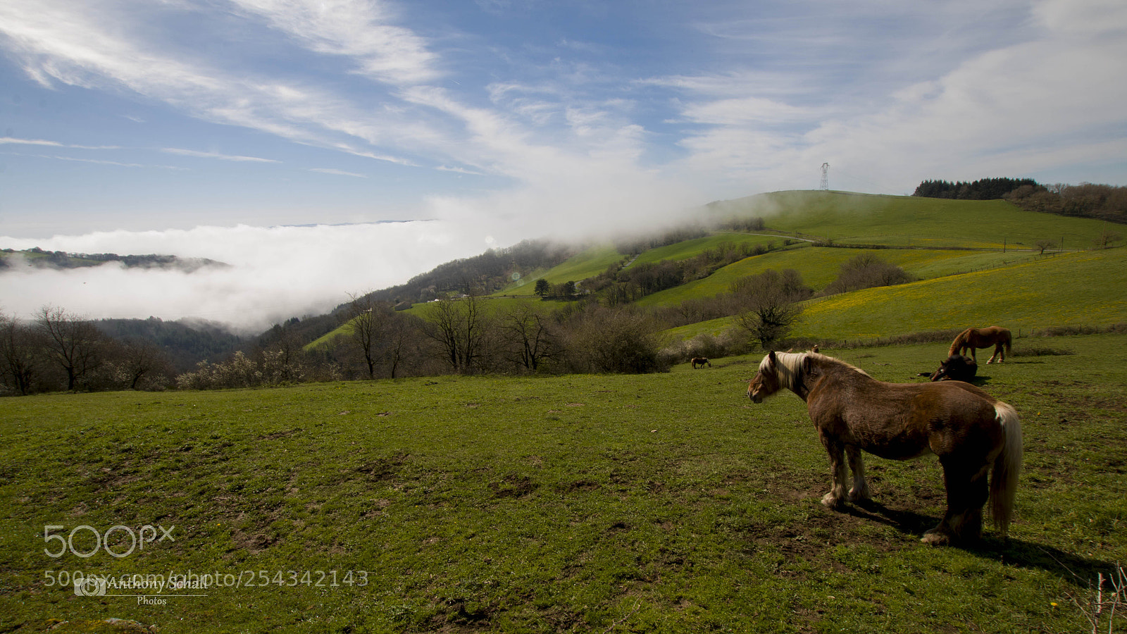 Canon EOS 70D sample photo. Horse on cloud sea photography