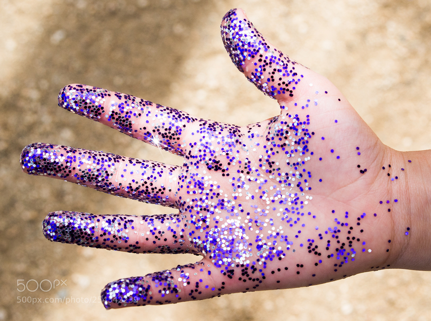 Nikon D610 sample photo. The pixie dust spreader's photography
