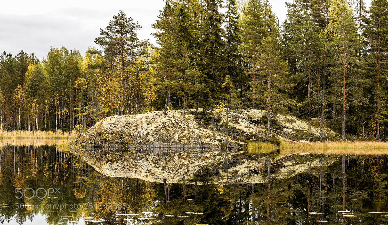 Nikon D600 sample photo. Rock reflection photography