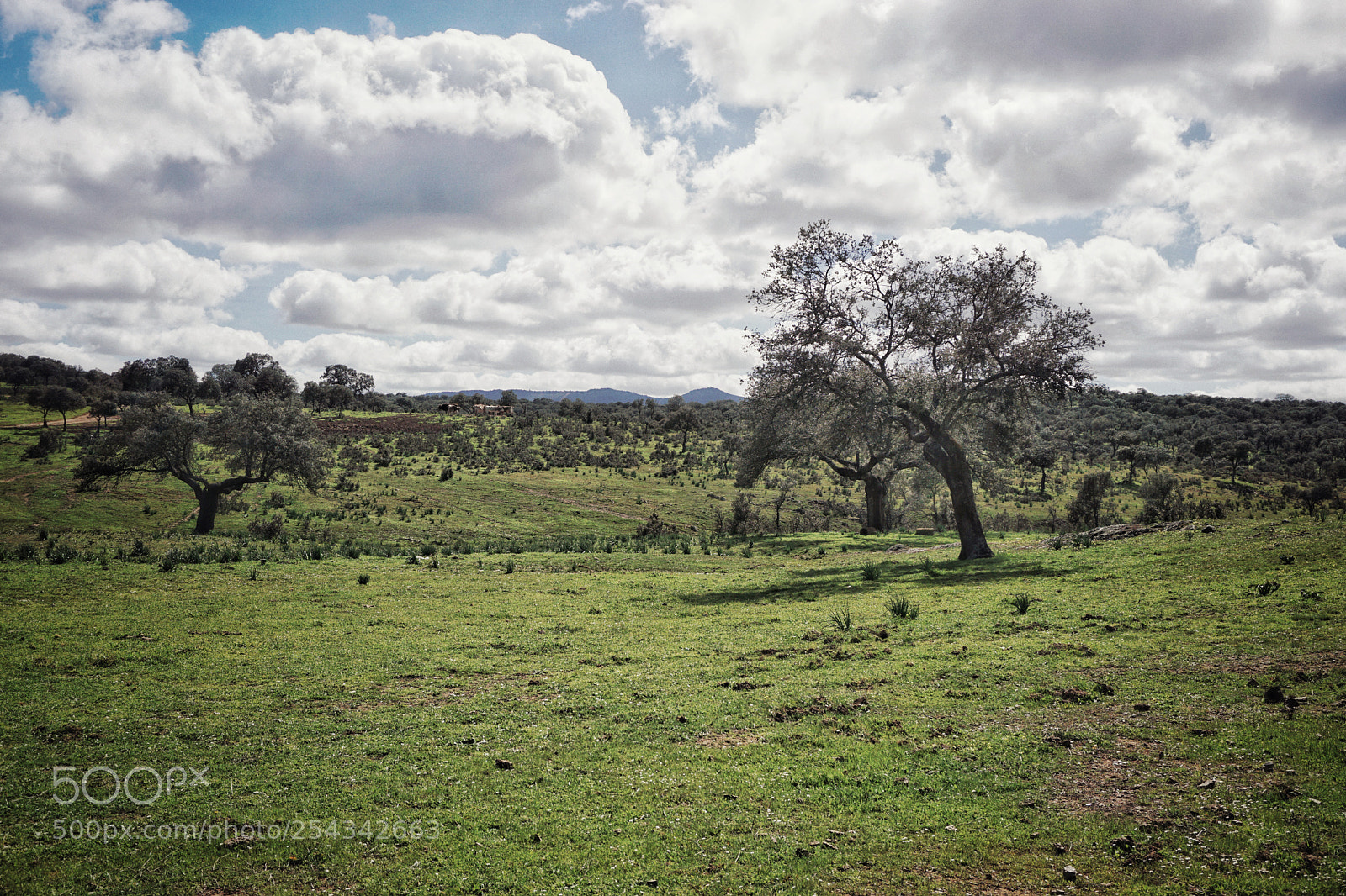 Sony a6000 sample photo. Valle de alcudia alcudia photography