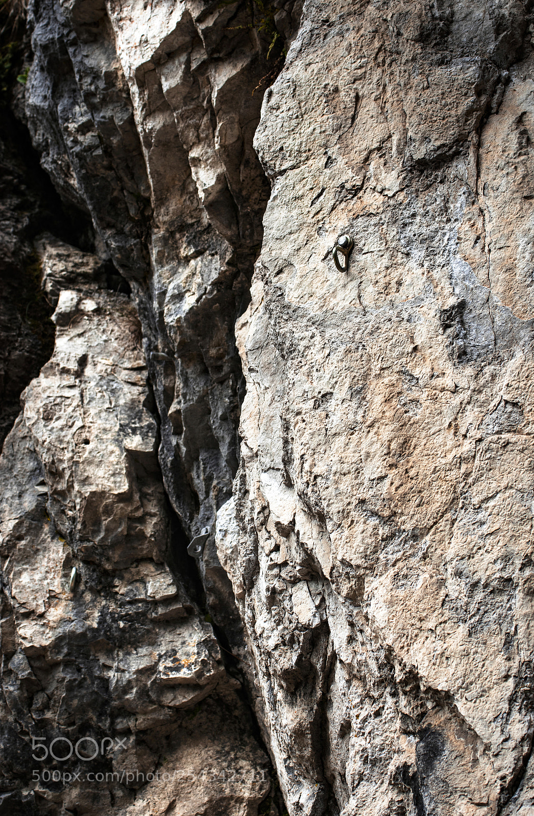 Nikon D5500 sample photo. Detail limestone rock with photography