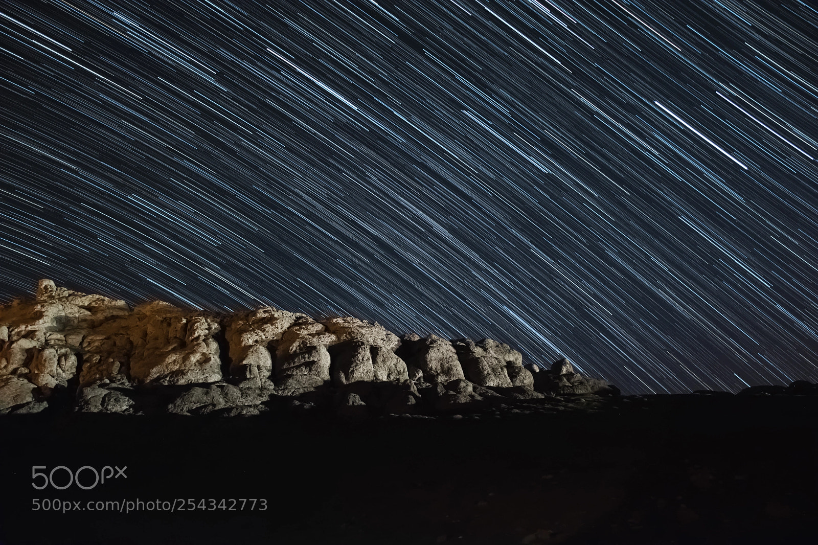 Nikon D5300 sample photo. Star trail photography