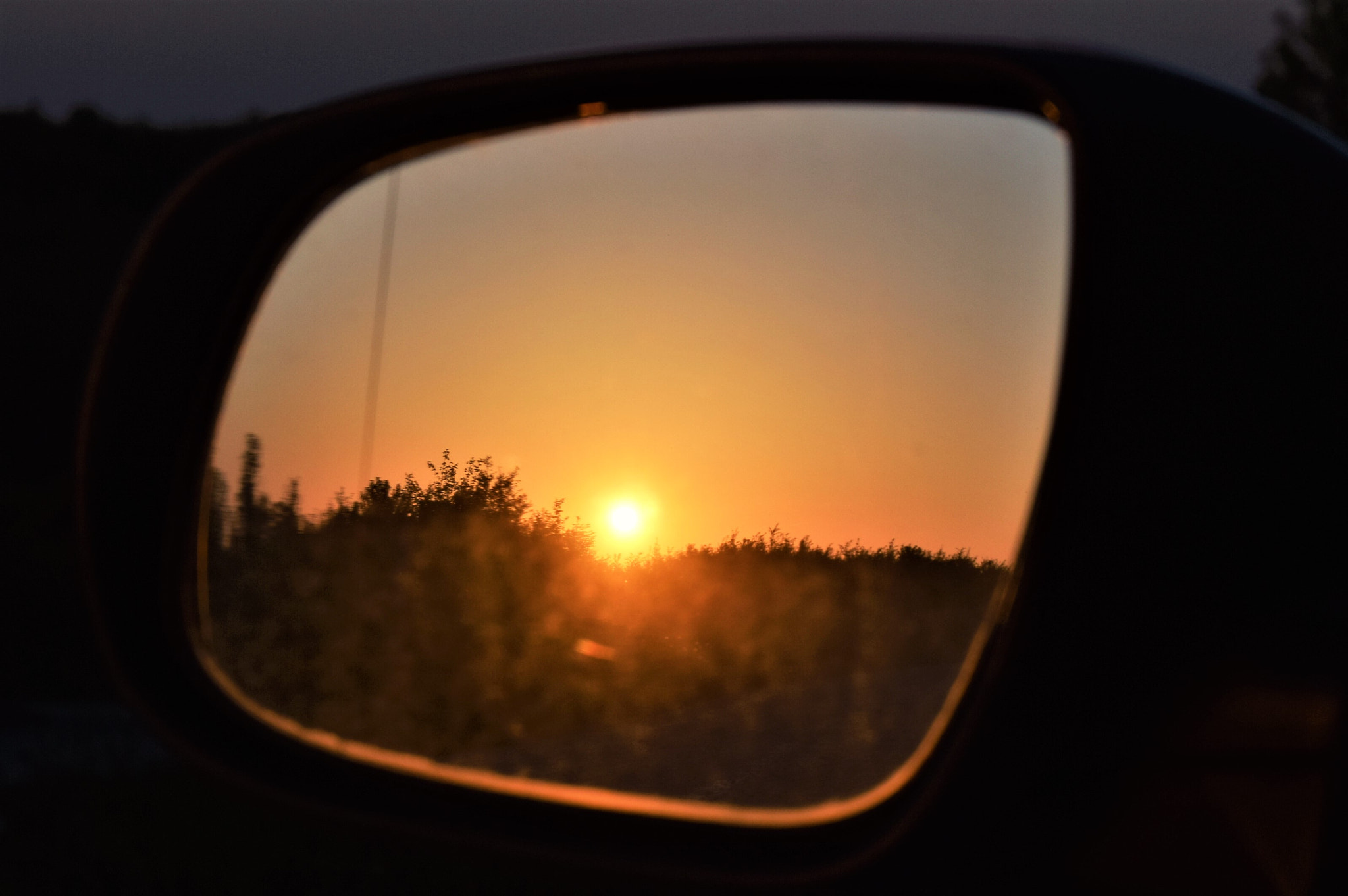 Nikon D3300 sample photo. Mirror full of dust photography