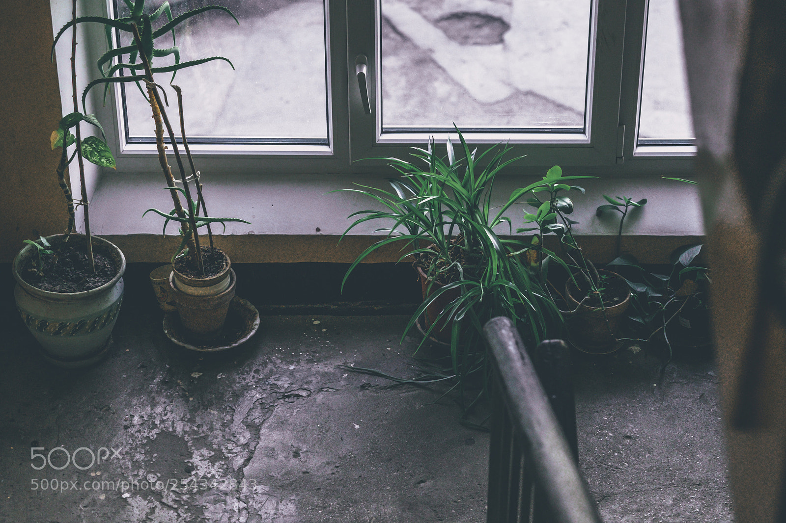 Fujifilm X-T2 sample photo. Green  photography