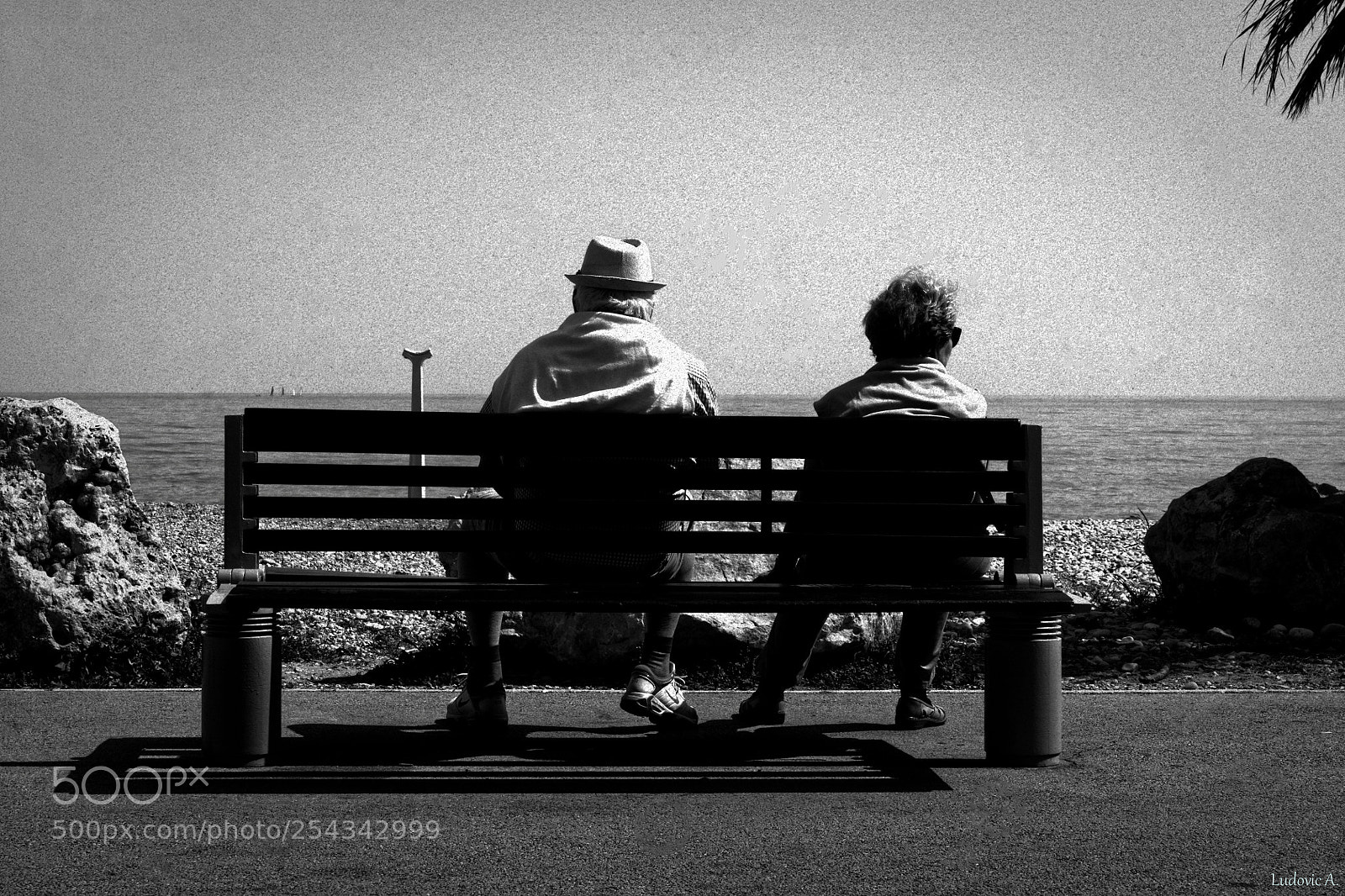 Sony Alpha DSLR-A700 sample photo. Les amoureux du banc photography