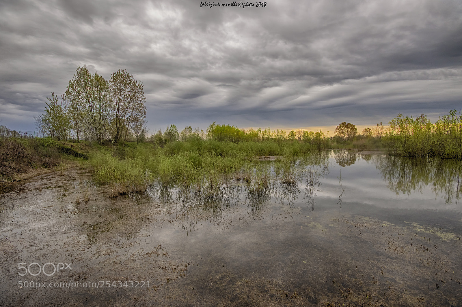 Canon EOS 7D Mark II sample photo. Pond photography