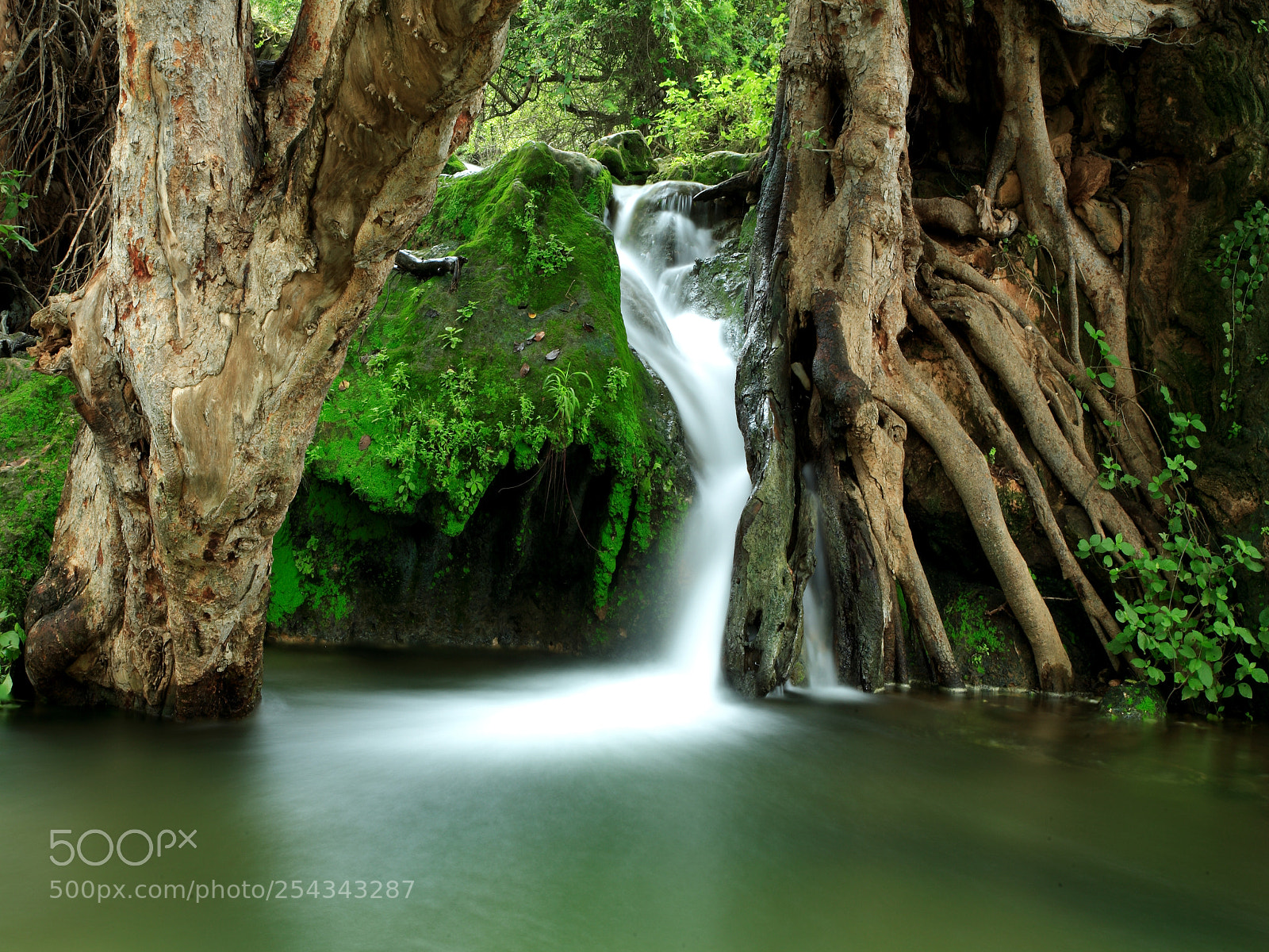 Canon EOS 5D sample photo. Water- fool photography
