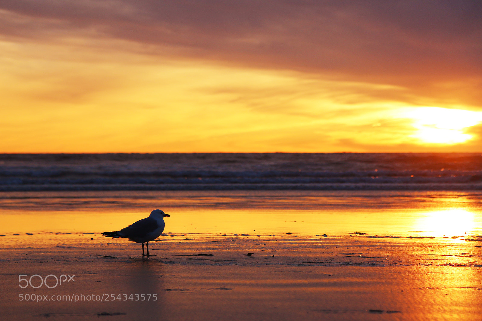 Canon EOS 70D sample photo. Sunset at pacific beach photography