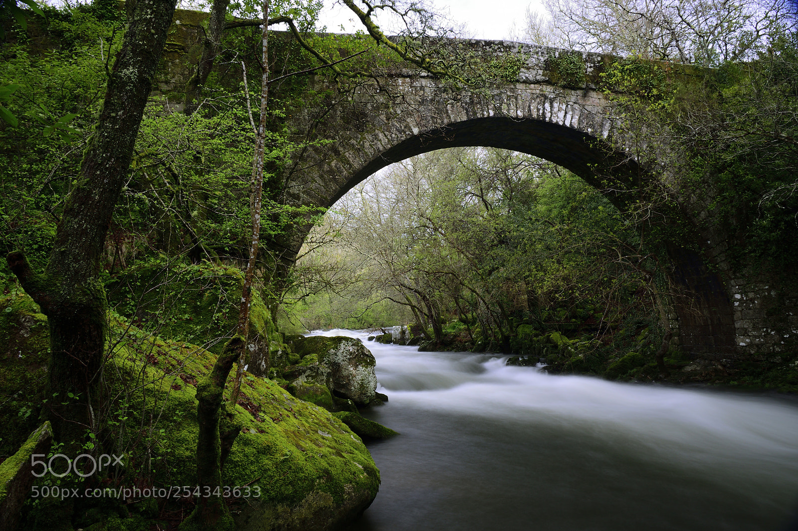Nikon D5300 sample photo. Roman bridge of segade photography
