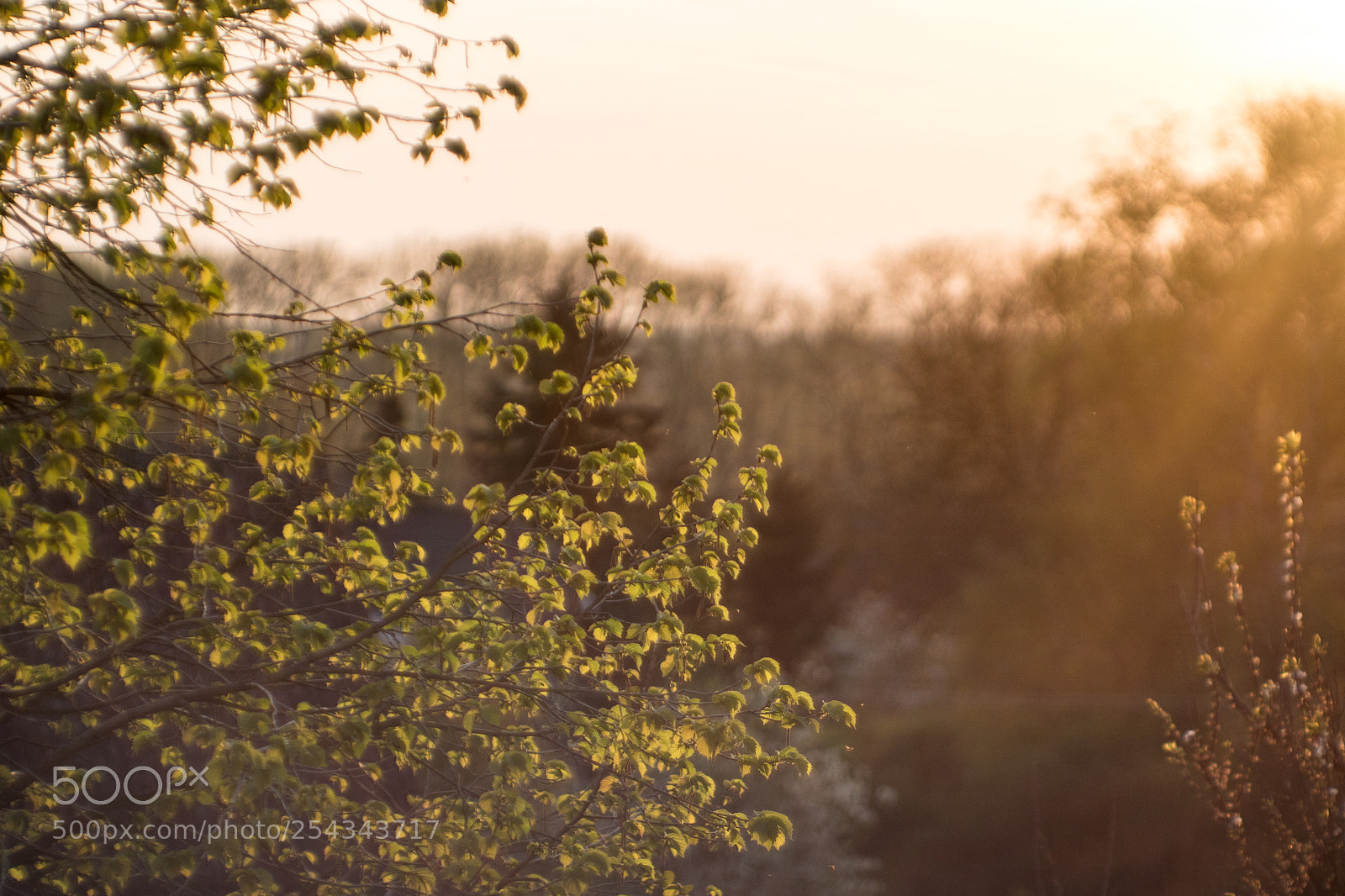 Canon EOS 750D (EOS Rebel T6i / EOS Kiss X8i) sample photo. Catchet sunset photography