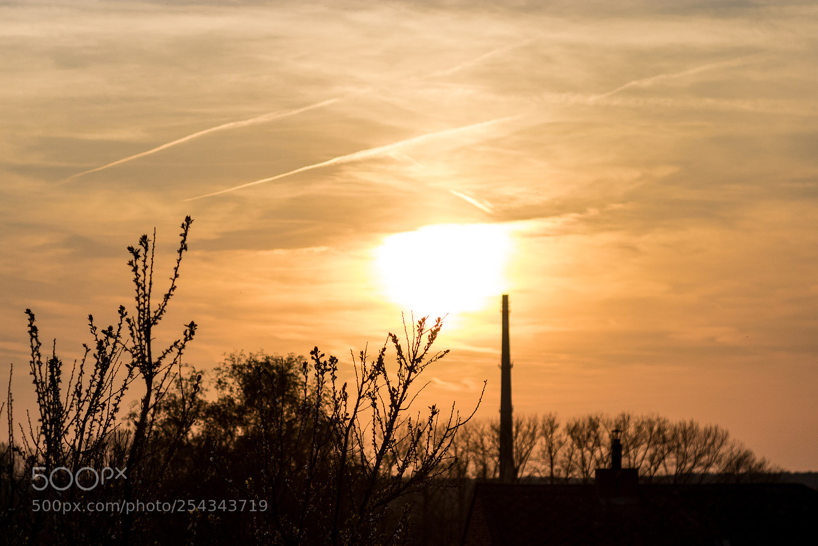 Canon EOS 750D (EOS Rebel T6i / EOS Kiss X8i) sample photo. Sunny afternoon :) photography