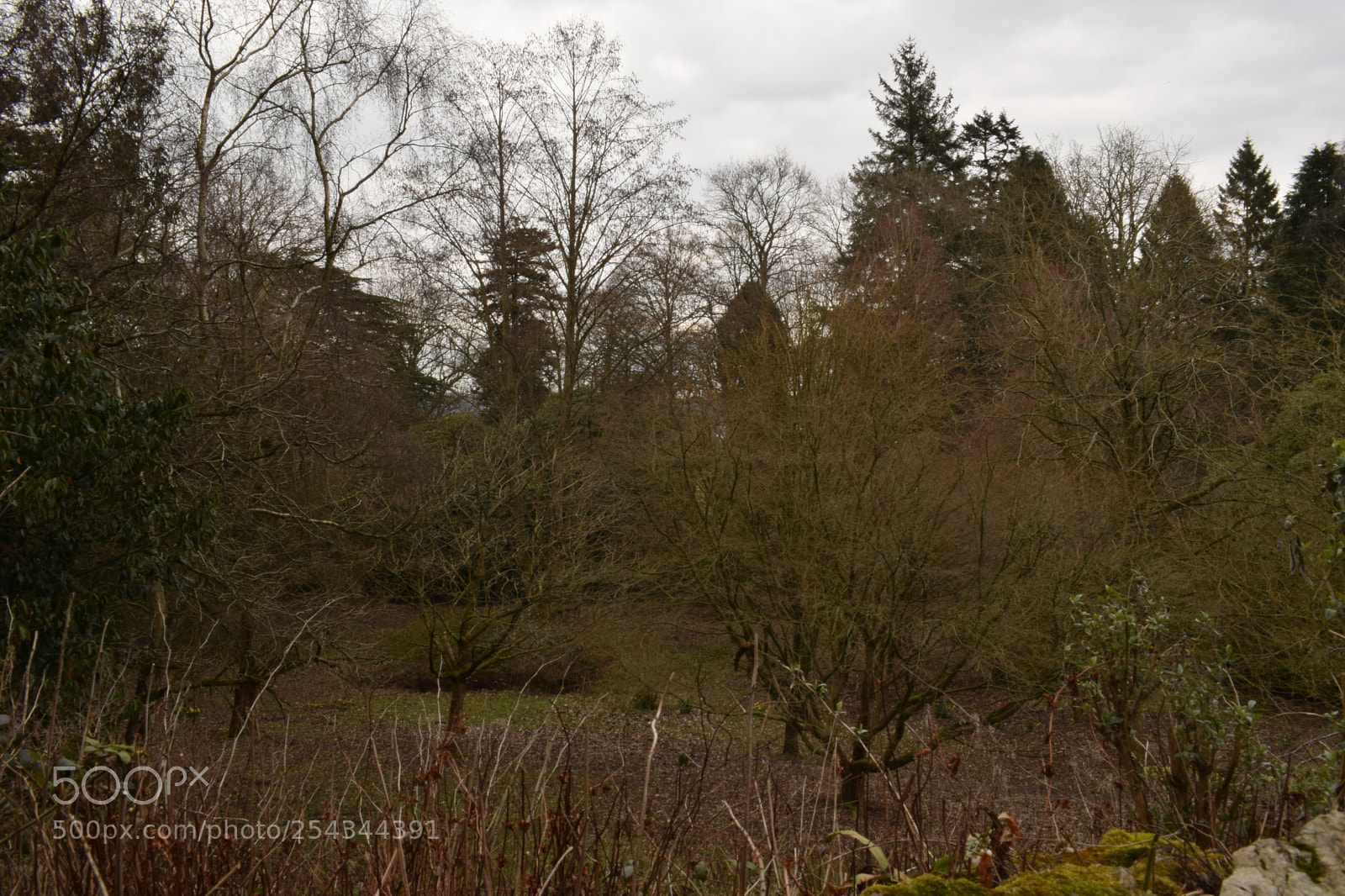 Nikon D3300 sample photo. Untitled photography