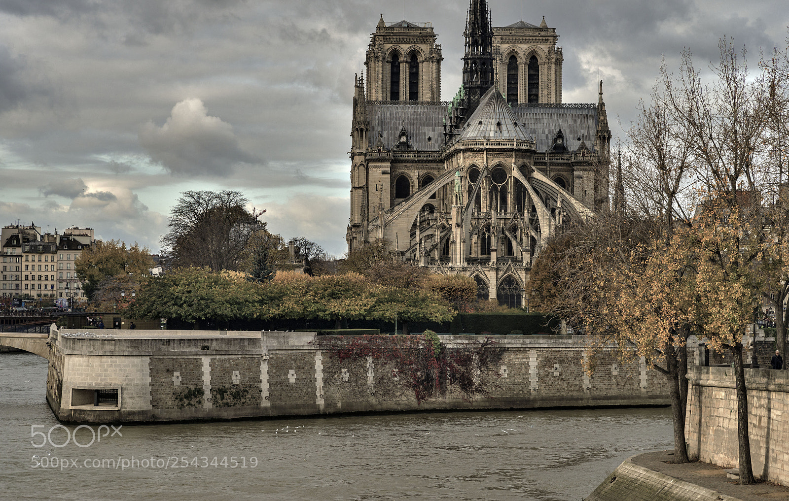 Nikon D610 sample photo. Parisnotredame photography