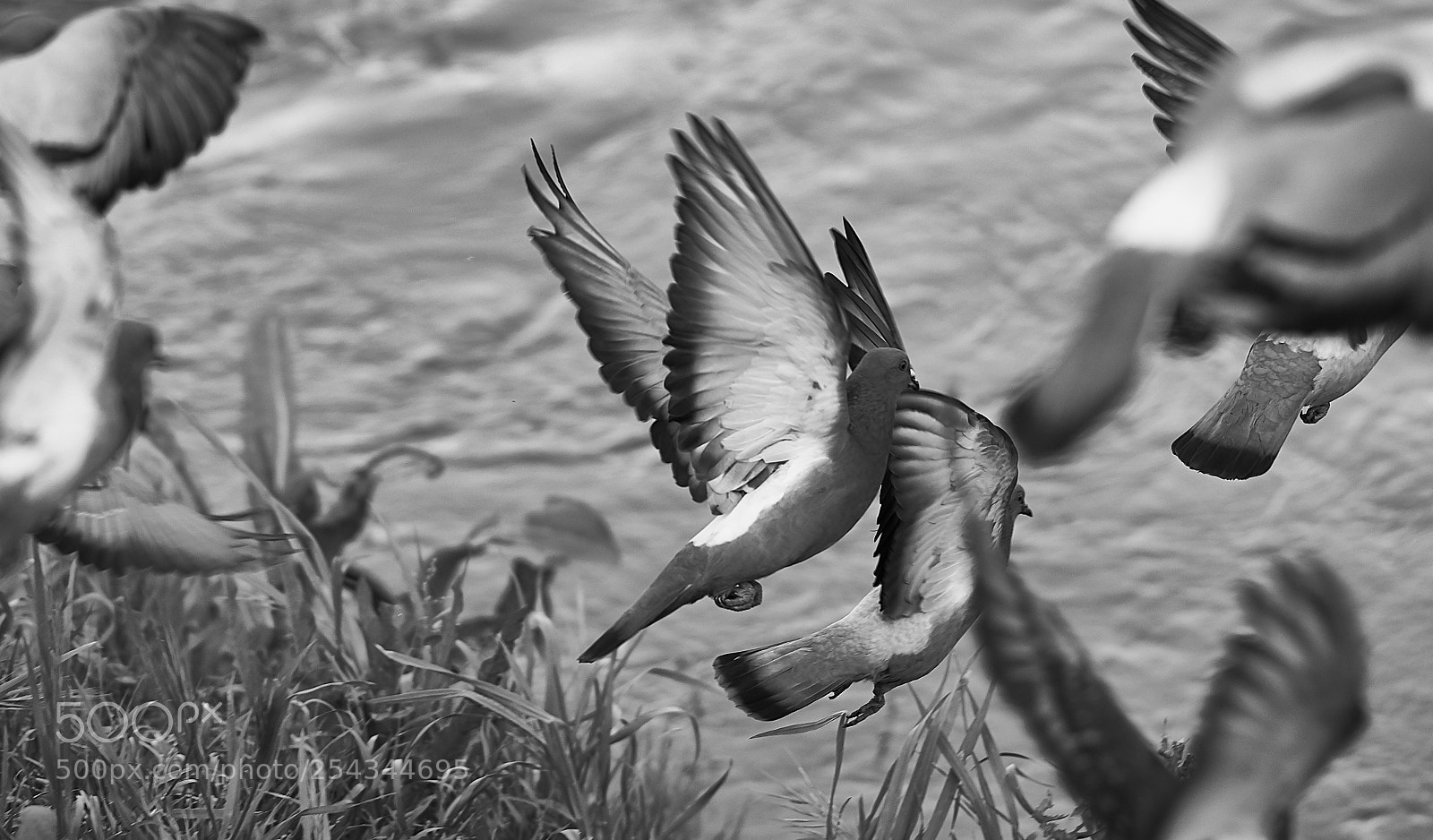 Pentax K-1 sample photo. Martorell i el seu photography